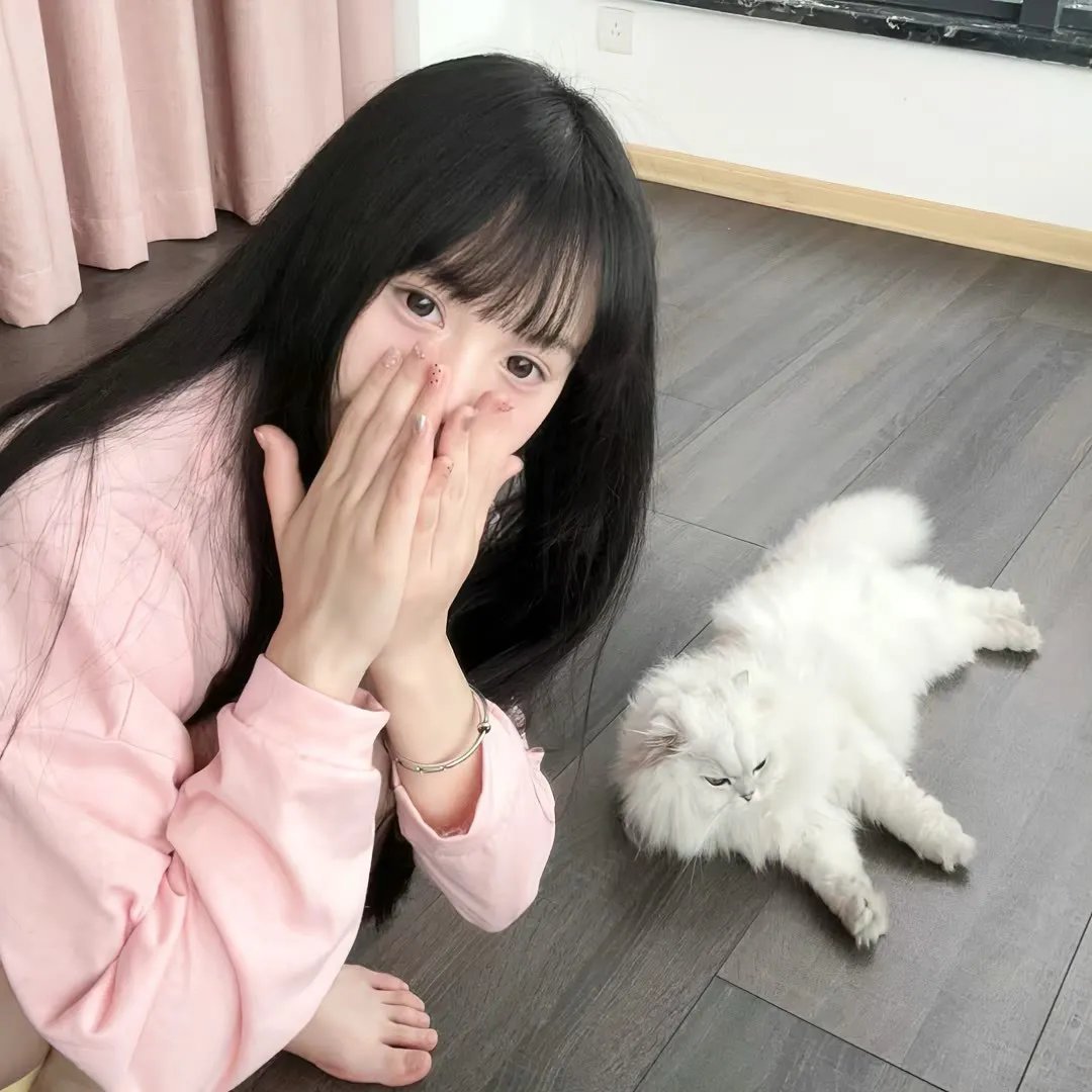 完美家庭